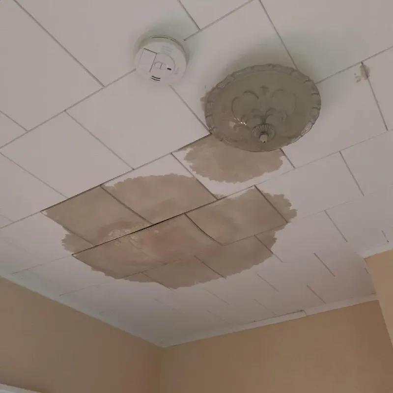 Ceiling Water Damage Repair in Brinckerhoff, NY