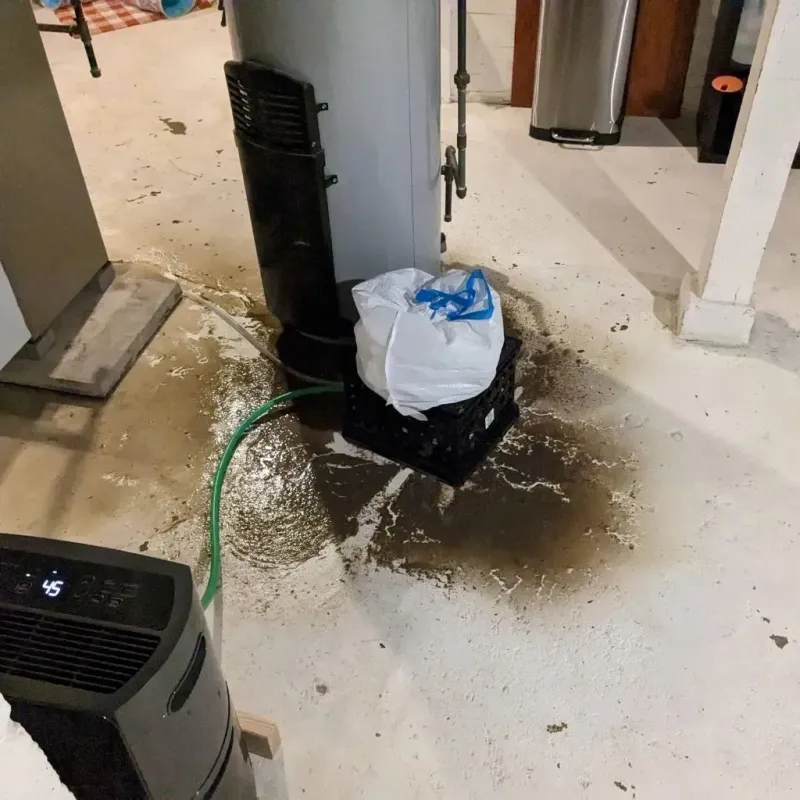 Sewage Backup Cleanup Service in Brinckerhoff, NY